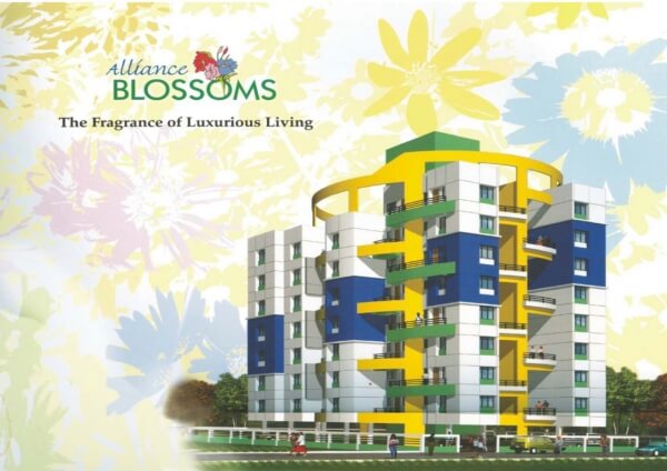 Alliance Blossom